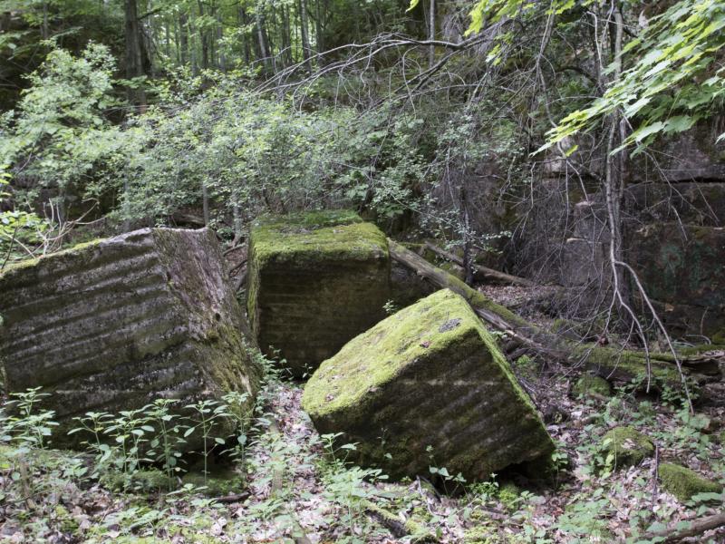 Quarried, moss-covered, blocks of rock sit in an abandoned quarry within Arms Forest.