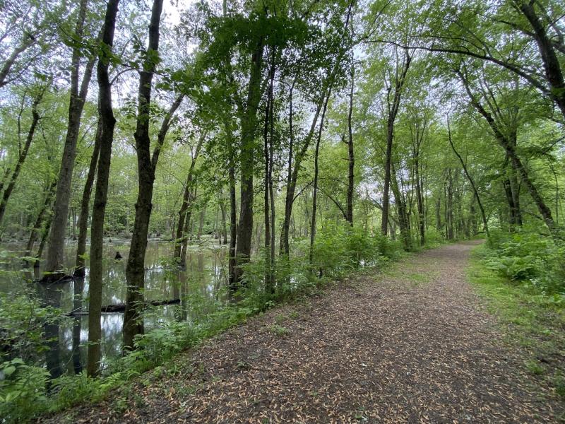 access road trail to Derway cove