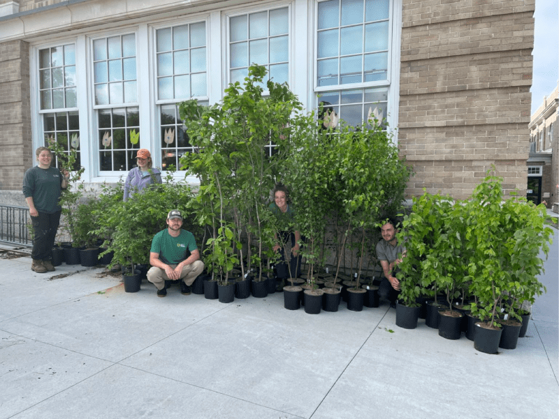 Burlington Conservation team tree delivery
