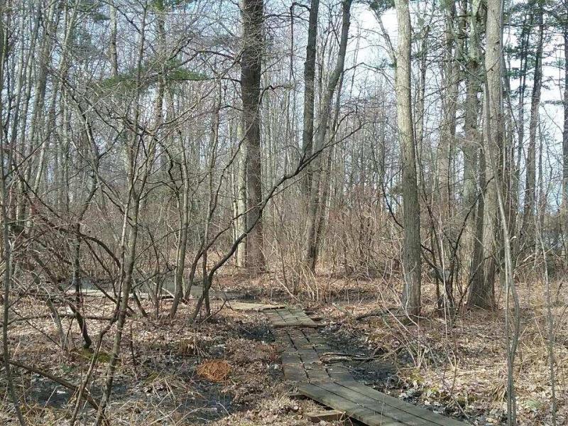 Boardwalk trail running through MCRMW
