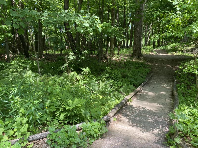 bridge from greenway to Starr Farm parking lot
