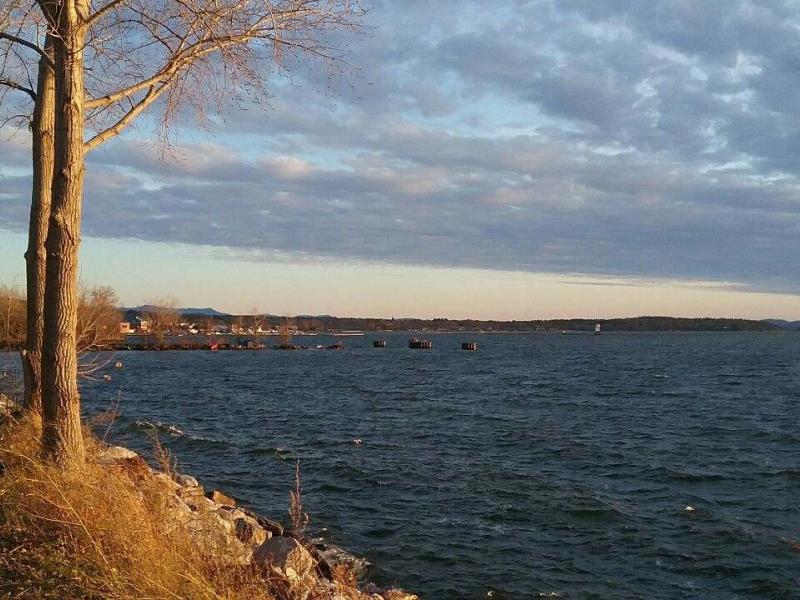 Burlington Bay at the Urban Reserve