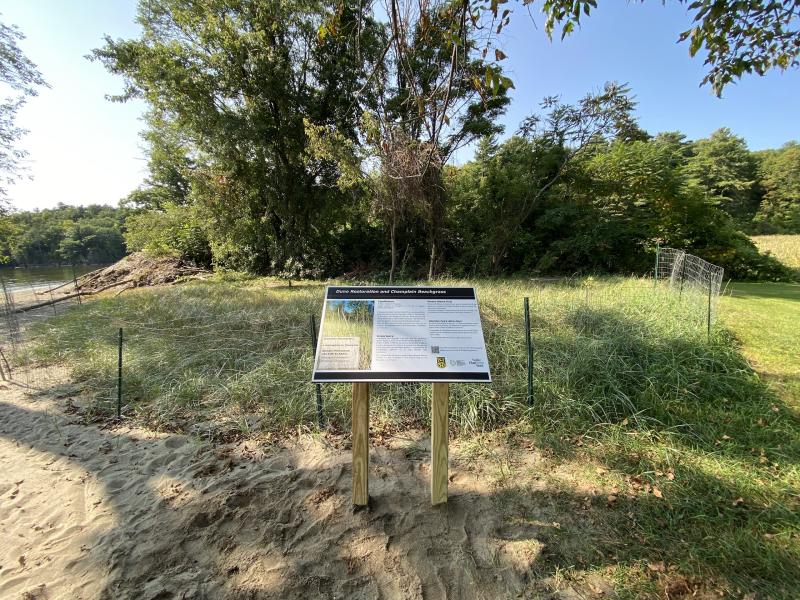 Champlain Beachgrass dune with interpretive signage