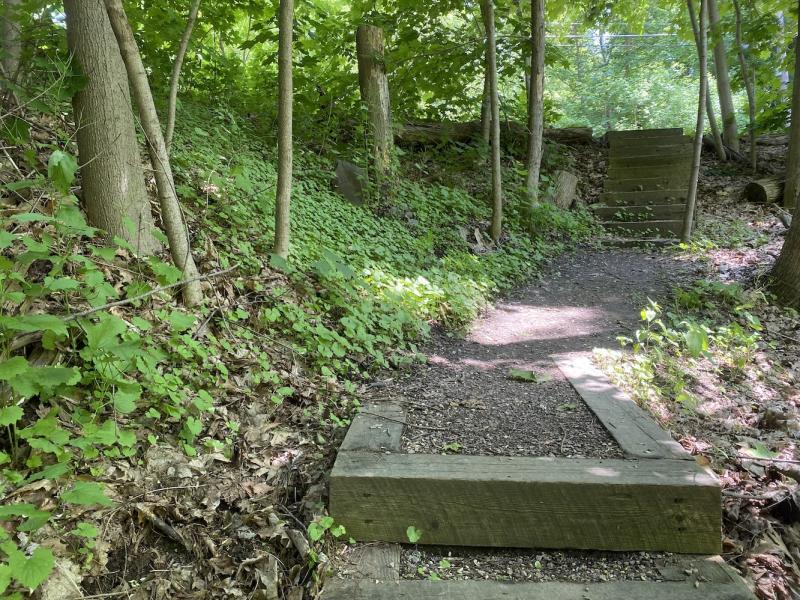 Stairs leading downslope at Crescent woods