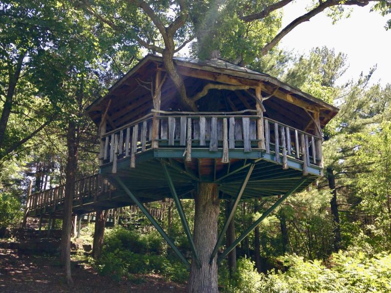 Forever young UA treehouse