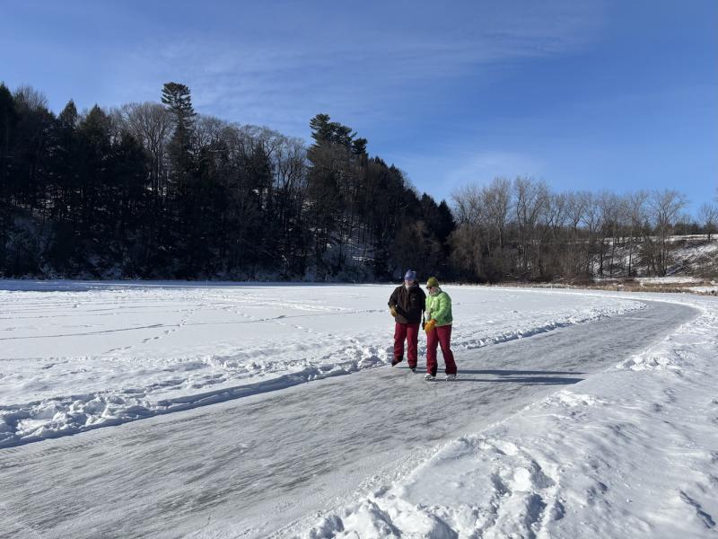ice skaters at Arthur Park