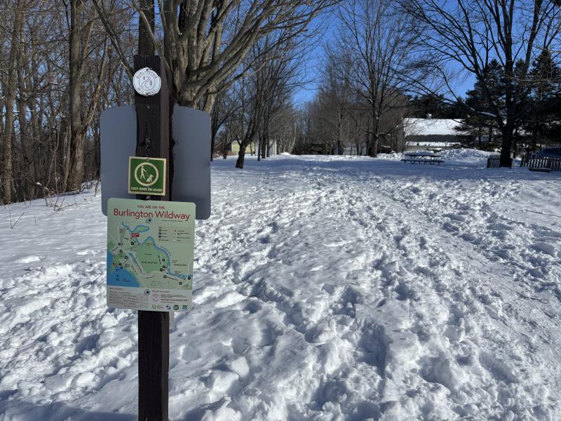 winter trail conditions tracks in snow