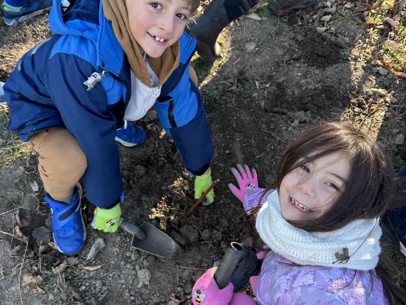 tree planting joy