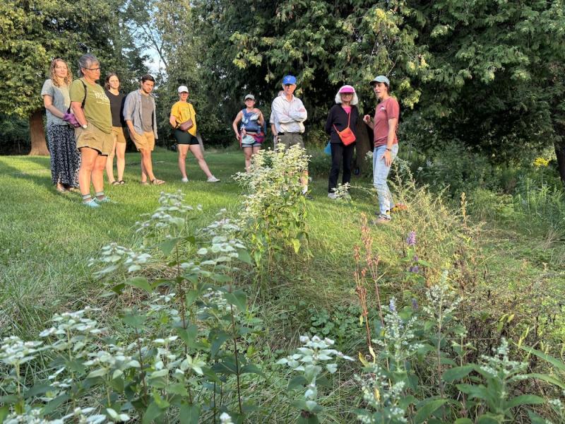 tour participants in mid summer
