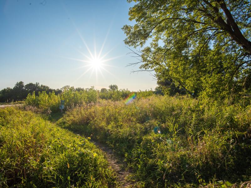 Intervale agricultural field