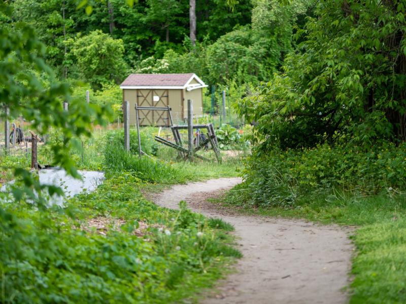 Community gardens along trail at Kieslich Park