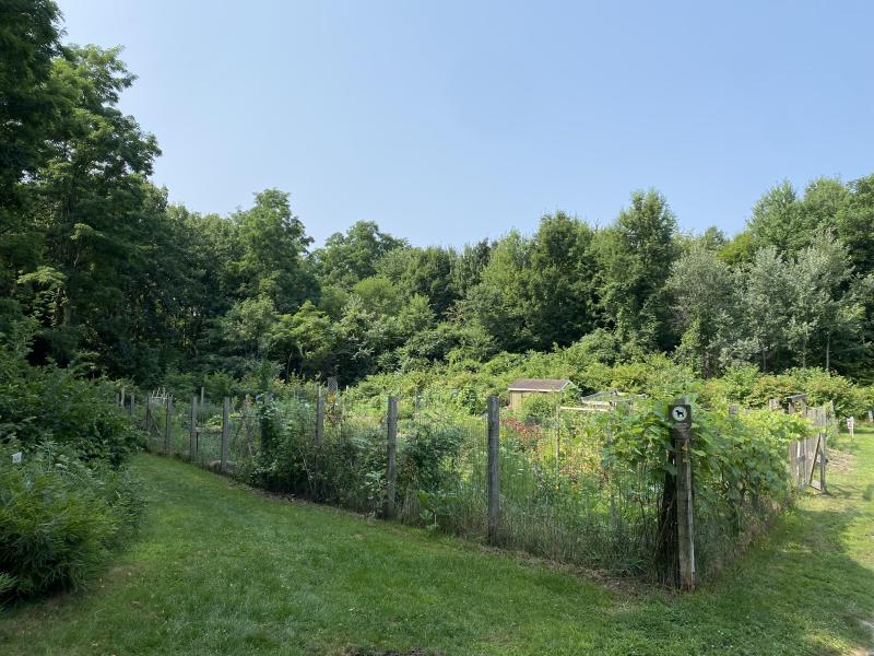 Kieslich community gardens