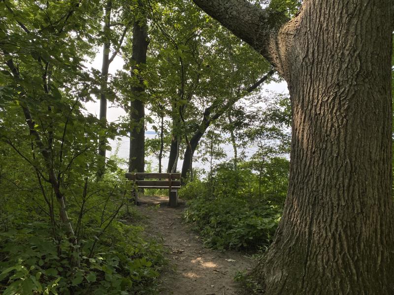 Kieslich overlook and bench