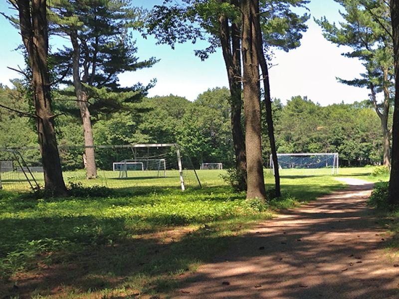 Leddy Park sports fields and forest