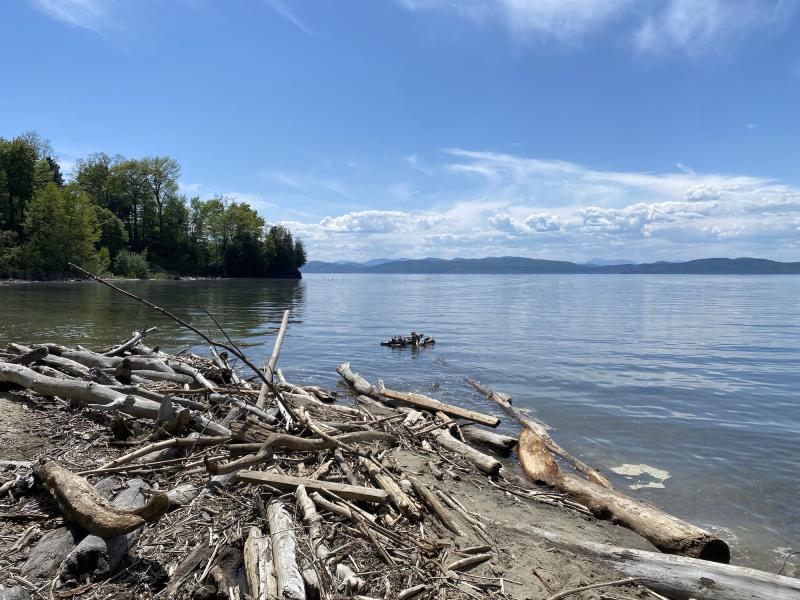 North shore natural area driftwood along the waters edge