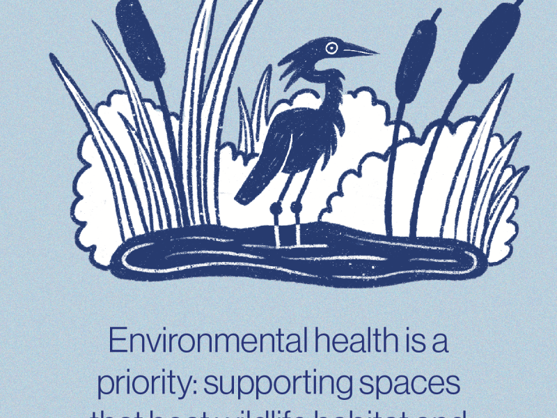 OSP Findings environmental health