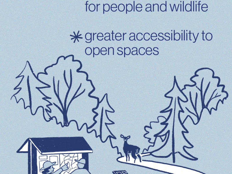 OSP Findings hopes for the future