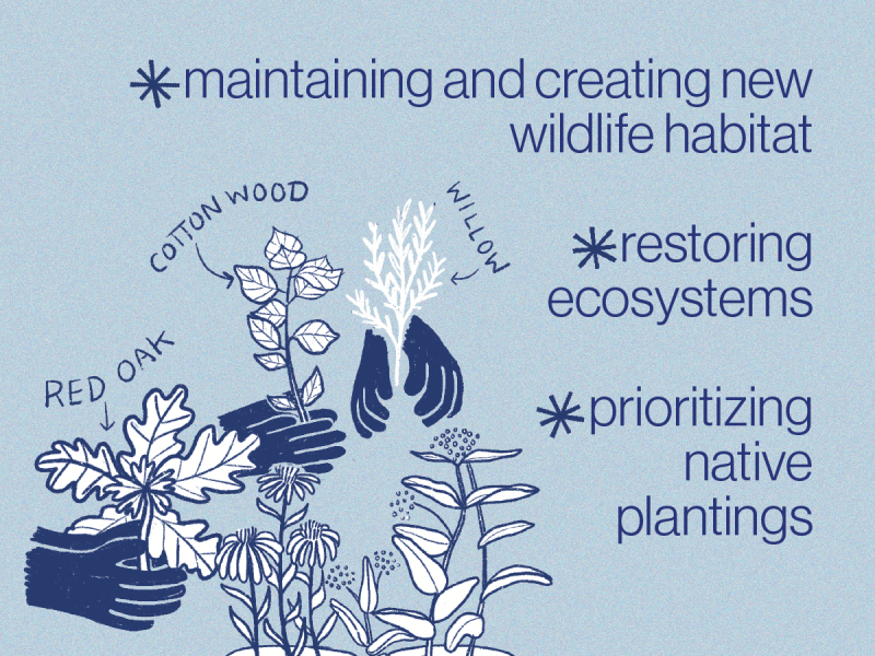 OSP Findings hopes for the future continued