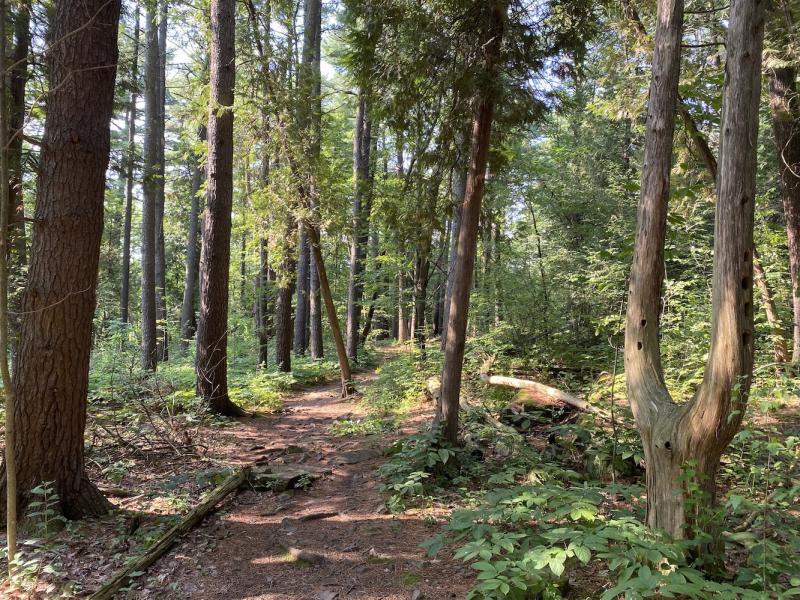 Oakledge Trail
