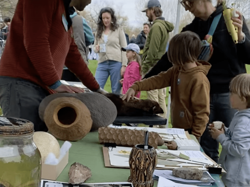natural history collections