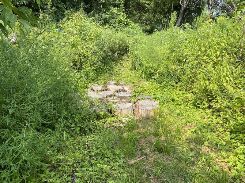 Sea caves path crossing wet area