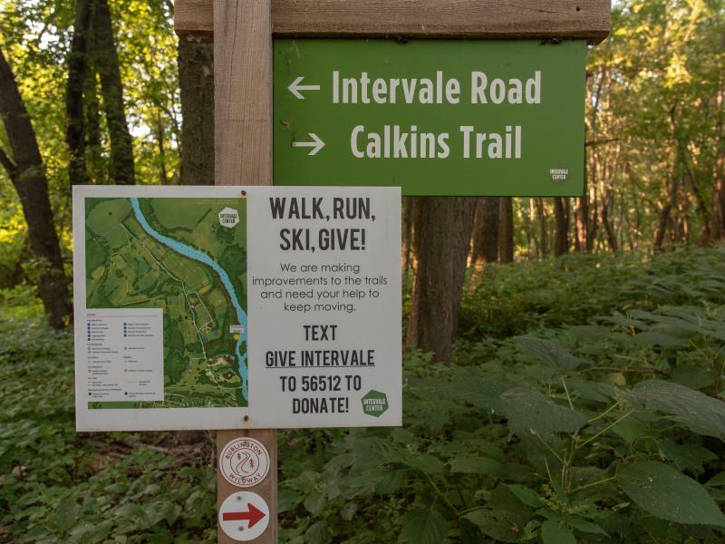 Intersection of the Intervale Center Calkins loop Trail