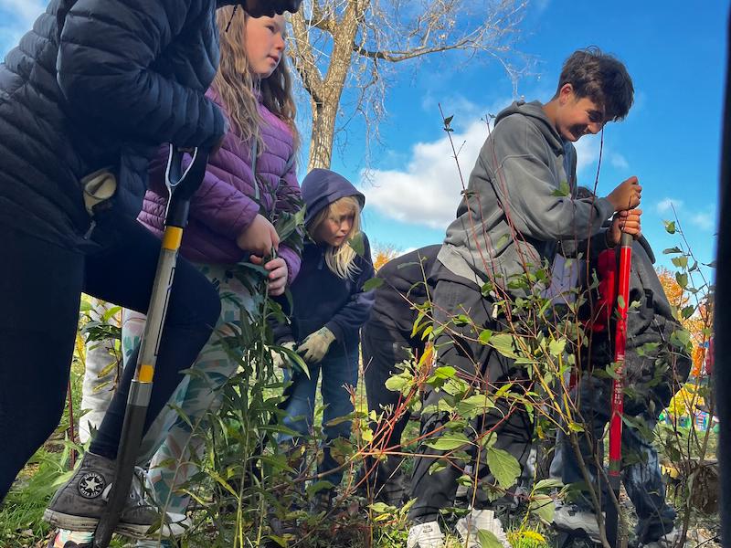Students digging in campus tree nursery