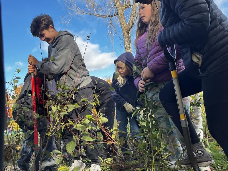 Students digging in tree nursery