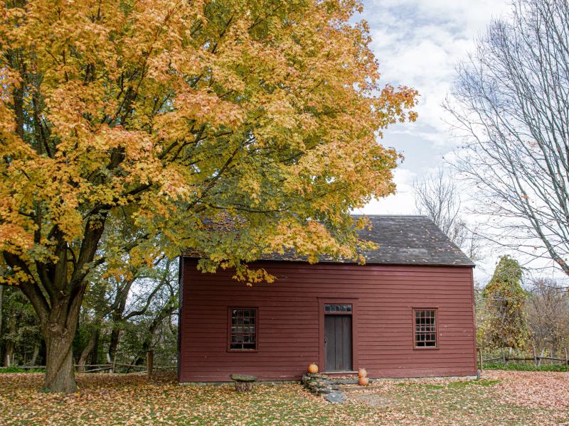 The Allen House among fall foliage