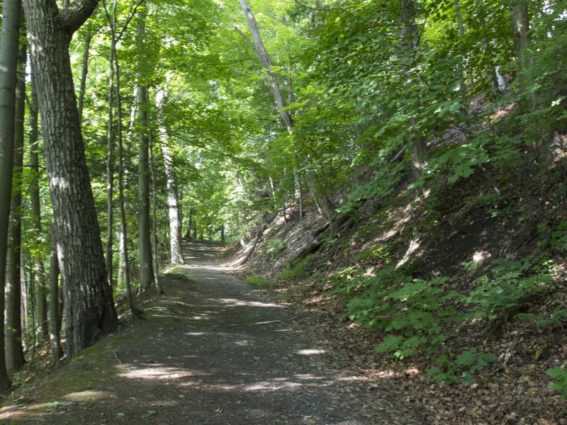Trail downslope from Arthur Park entrance
