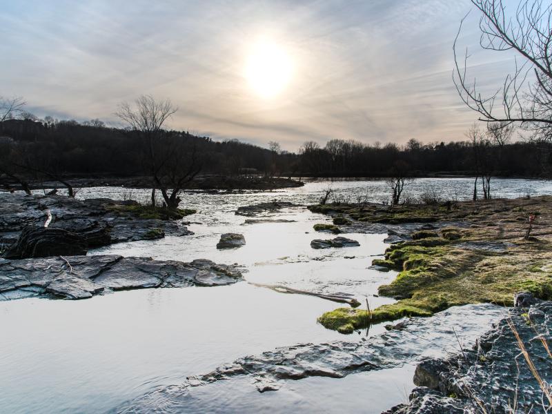 View downstream at the Salmon Hole