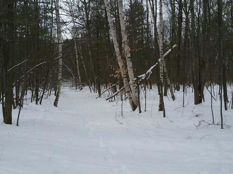 Snowy winter trail at MCRMW