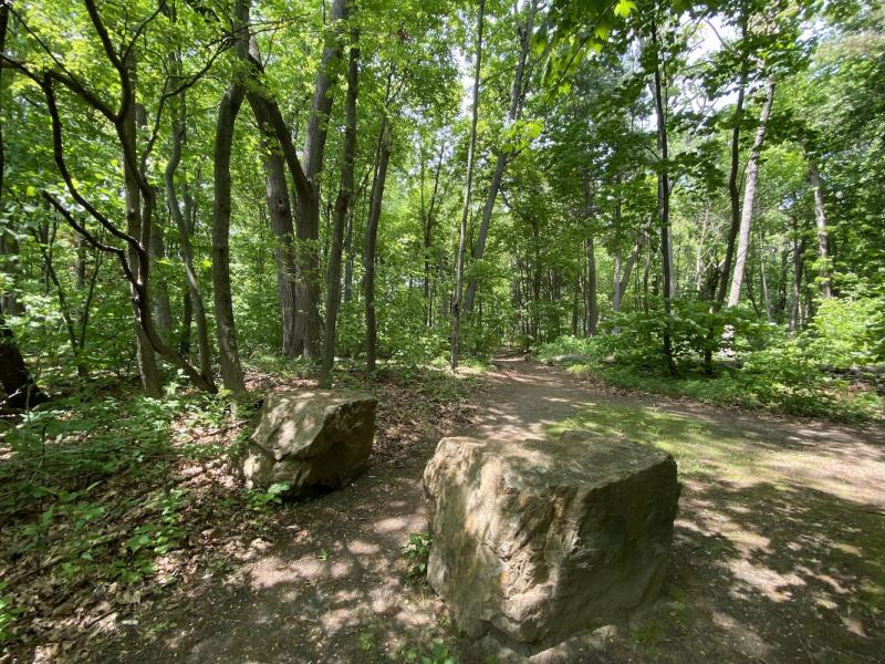 entrance to north woods at Starr Farm with boulders