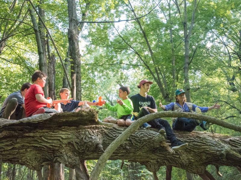 Exploration of the floodplain forest at Derway Island