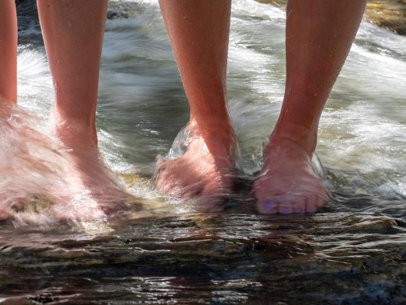 Feet of two people in the water along the shore