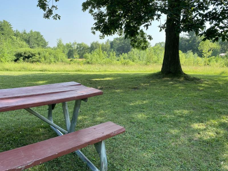 Oakledge lower meadow