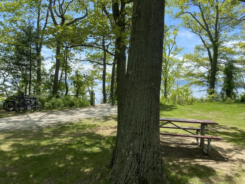outlook with picnic table above leddy beach