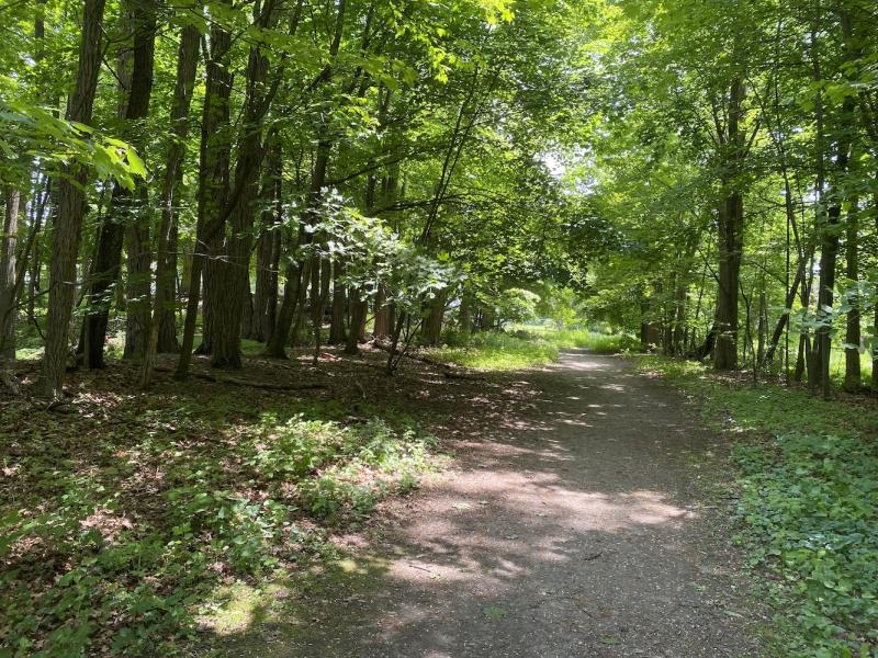 path alongside greenway at Starr Farm
