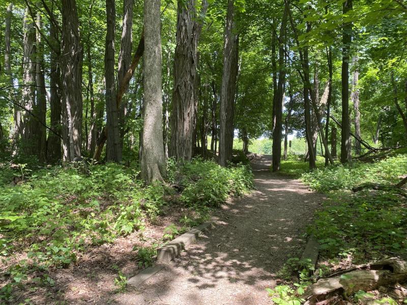 path to Starr Farm parking lot
