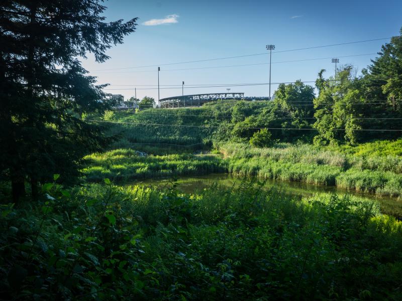 Overlooking the retention pond in summertime with Centennial field grandstand visible in background