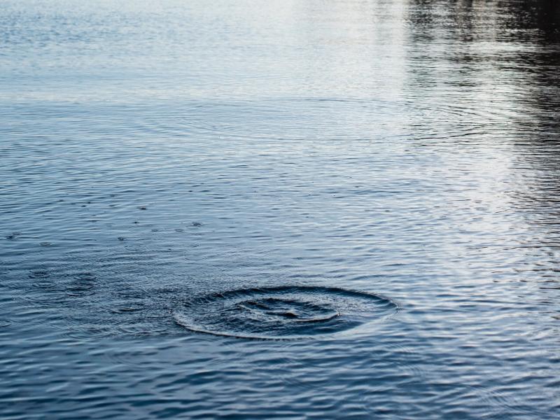Ripples from splash in the water