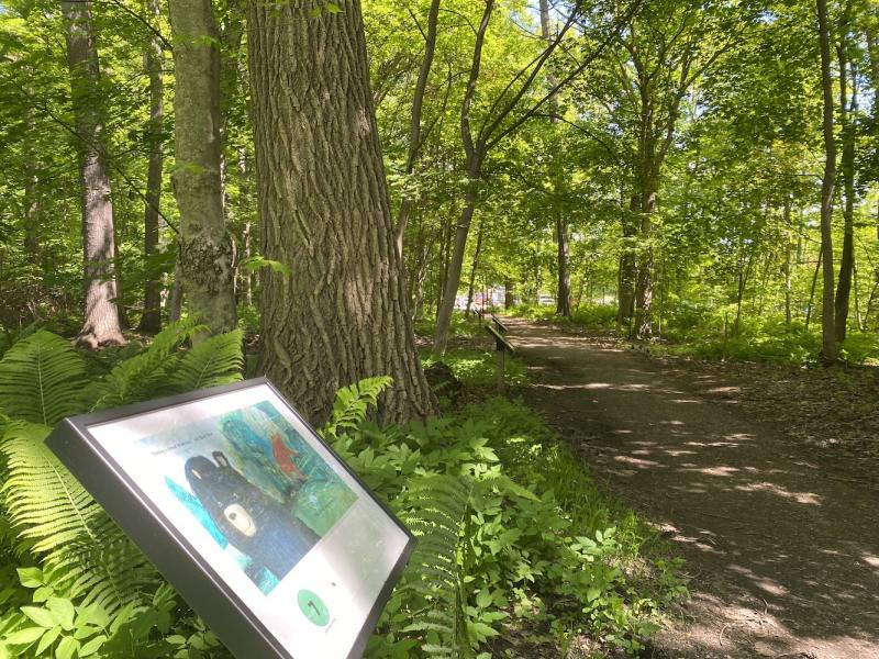 story walk along trail at leddy