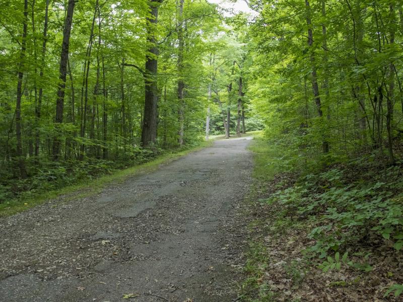 Trail to the Ethan Allen Park Pinnacle