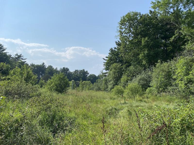 Oakledge Upper Meadow