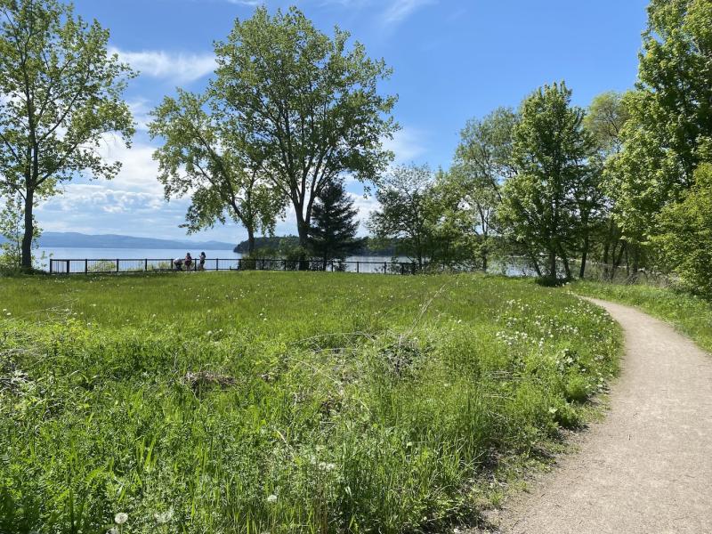 walking path at the urban reserve