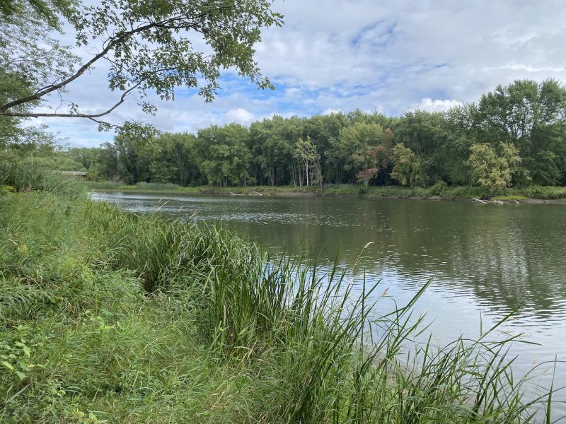 winooski river at Heineberg wetlands