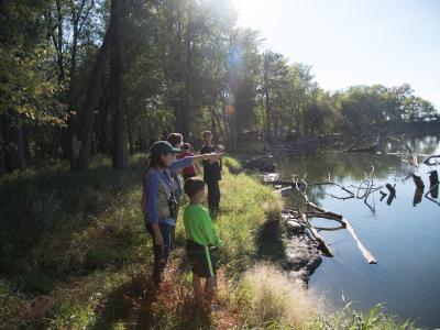 Birdwatching at Derway Island