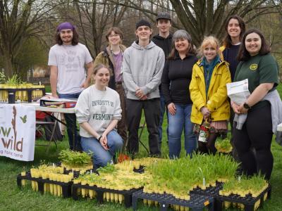 Native Plant giveaway
