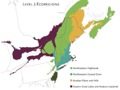 Ecoregions map