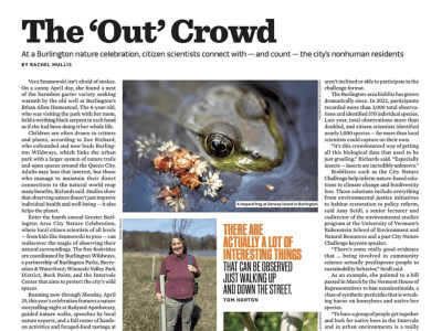Greater Burlington City Nature Challenge Article